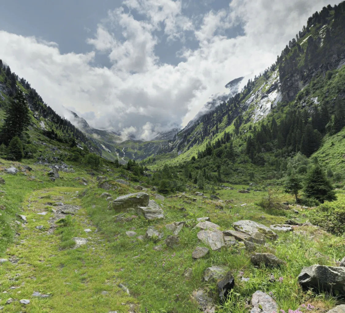 Grünes Tal mit Bäumen und Bergen im Hintergrund