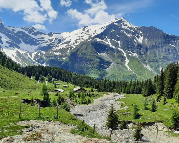 Alpenlandschaft mit Bergen, Wäldern und Wiesen